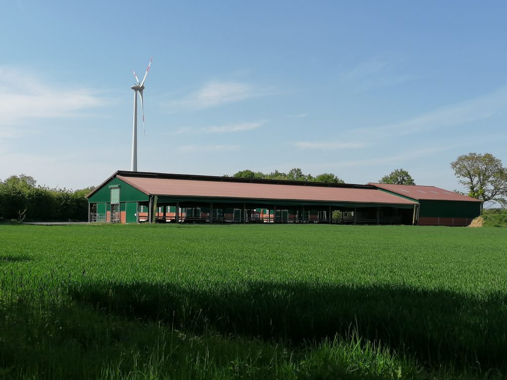 Rindermastanlage Münsterland
