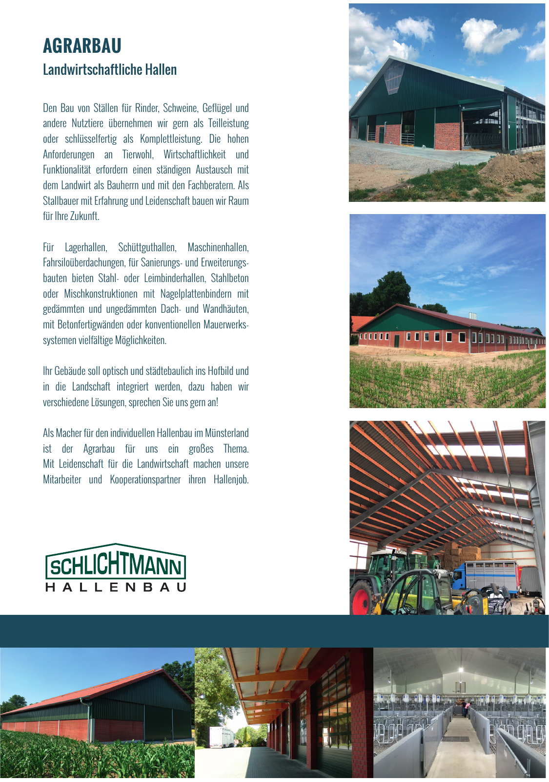Vorschau Schlichtmann - Gewerbe Agrar Reitsport Seite 7
